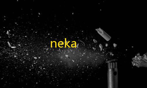 抖音粉丝业务套餐neka